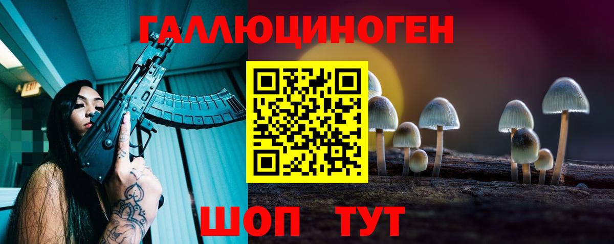 Галлюциногенные грибы Cubensis  Псилоцибиновые грибы мицелий  Амурск  Вход с VPN 